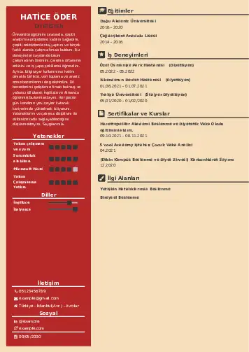 Beslenme Uzmanı Diyetisyen CV Örnekleri cv indir